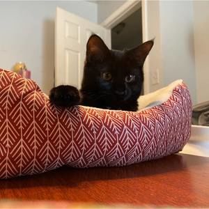 Meet your Posher, Rhonda